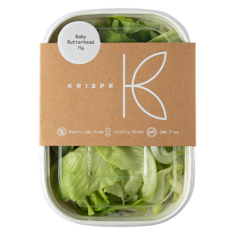 Baby Butterhead Lettuce, 75g