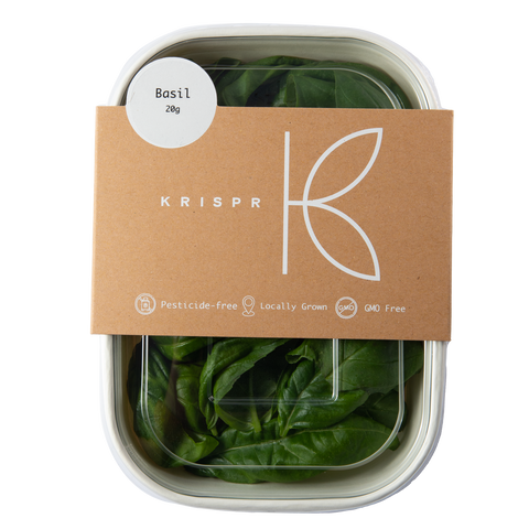 Genovese Basil, 20g