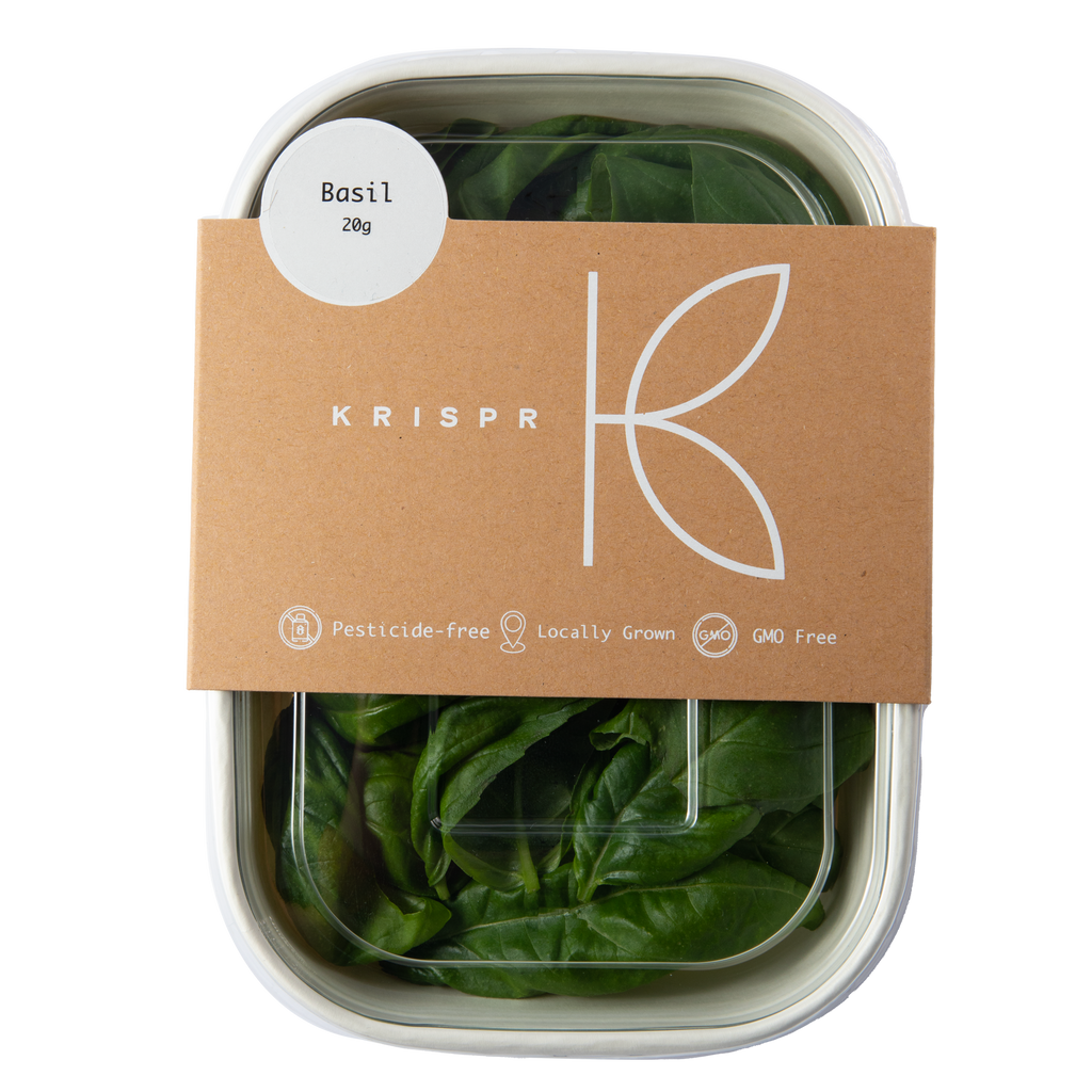 Genovese Basil, UAE, 20g KRISPR