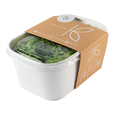 Baby Crispy Lettuce, 75g