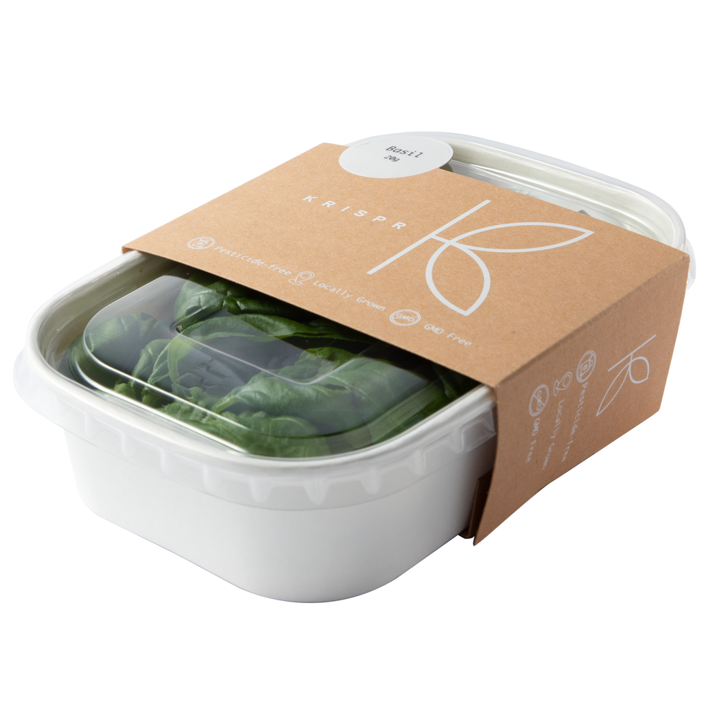 Genovese Basil, 20g KRISPR