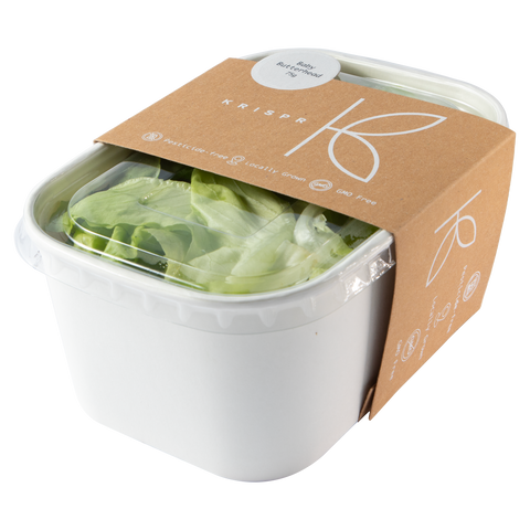 Baby Butterhead Lettuce, 75g