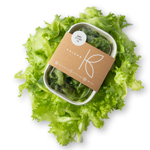 Baby Crispy Lettuce, 75g