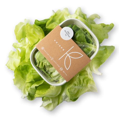 Baby Butterhead Lettuce, 75g