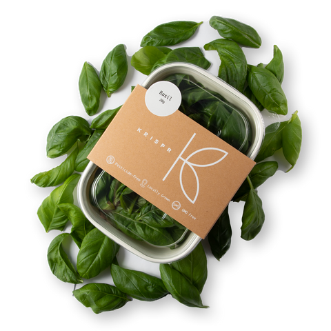 Genovese Basil, 20g