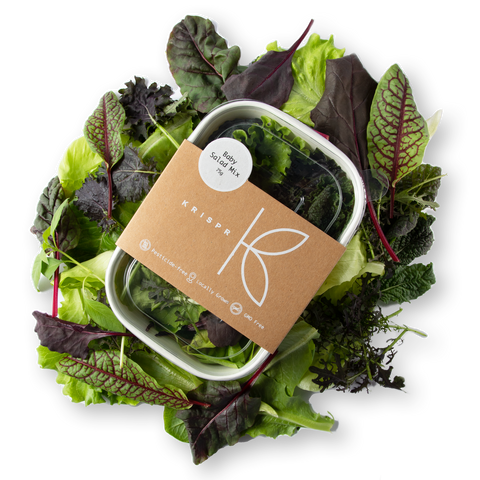 Baby Salad Mix, 75g