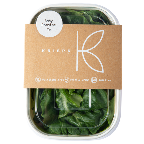 Baby Romaine Lettuce, 75g