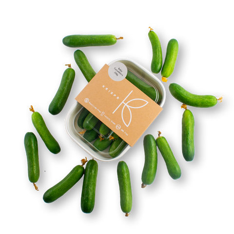 Baby Cucumbers, 250g