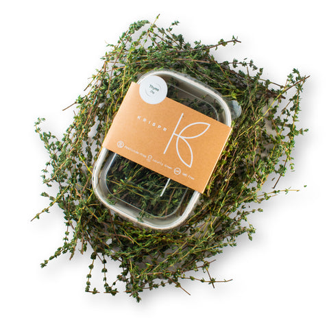 Thyme, 25g